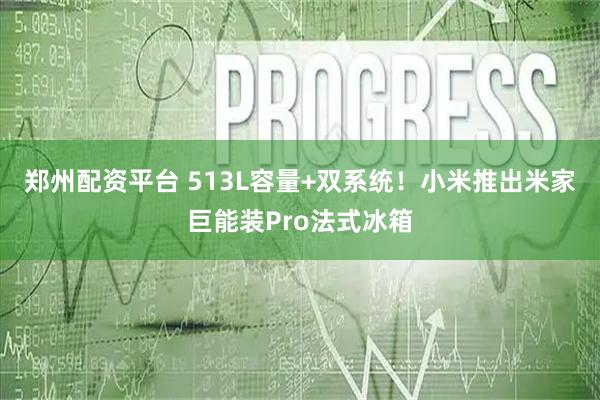 郑州配资平台 513L容量+双系统！小米推出米家巨能装Pro法式冰箱