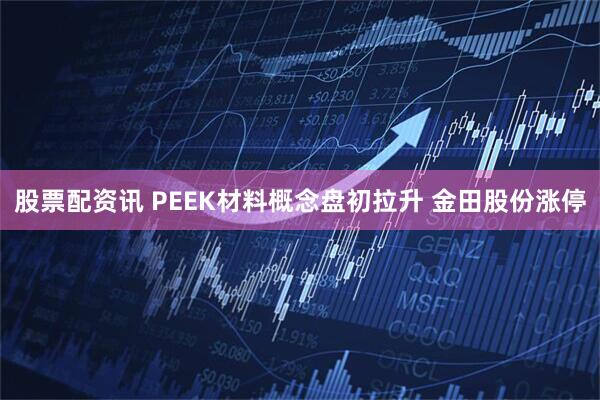 股票配资讯 PEEK材料概念盘初拉升 金田股份涨停