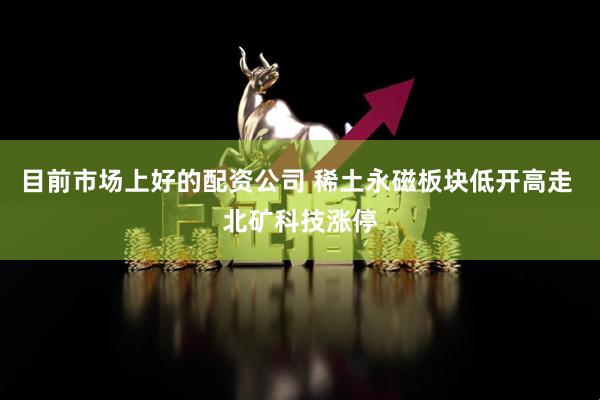 目前市场上好的配资公司 稀土永磁板块低开高走 北矿科技涨停